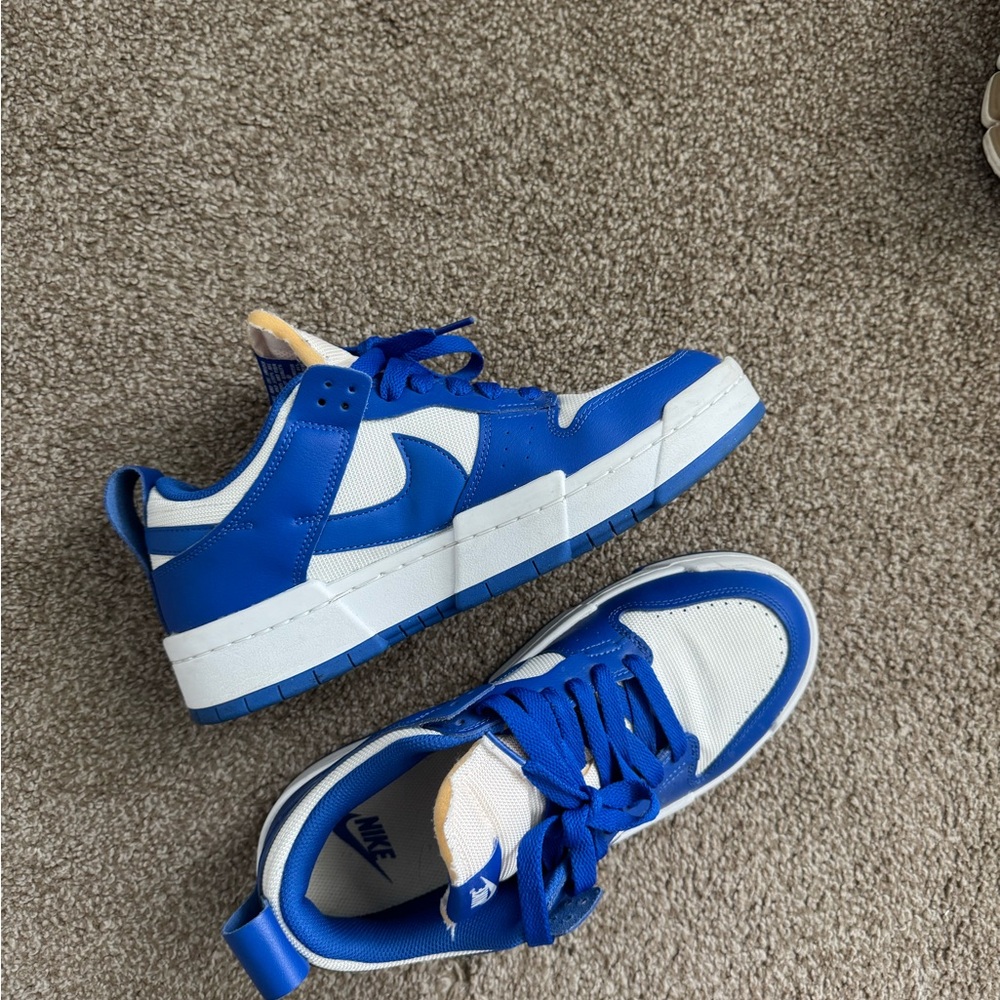 Nike disrupt dunk low